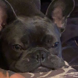 Meet your Posher, Becca